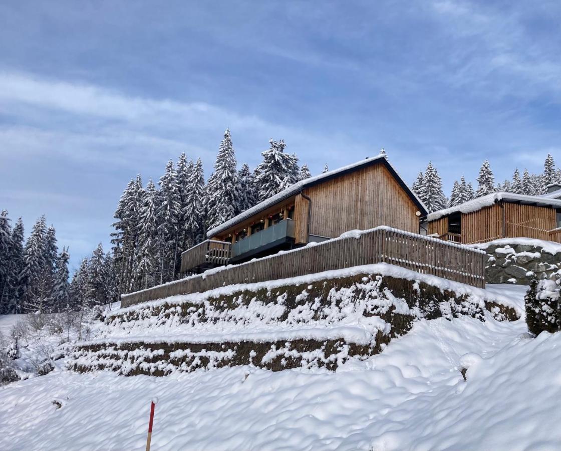 B-Lodge Kaernten Kirchbach  外观 照片