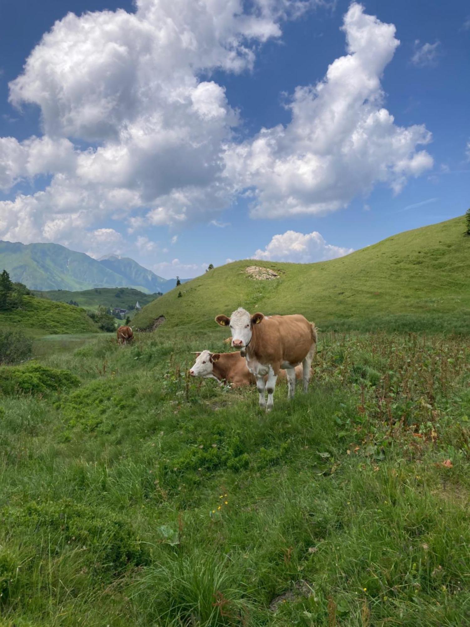 B-Lodge Kaernten Kirchbach  外观 照片